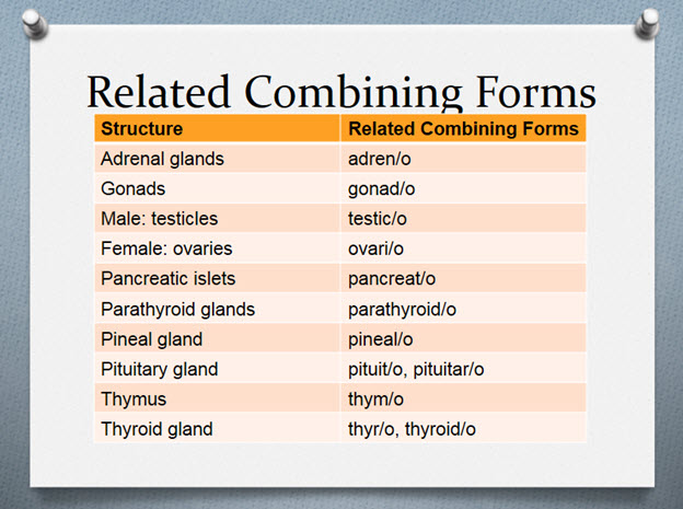 Medical Terminology Class Atlanta Medical Terminology Course